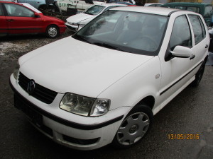 polo 1